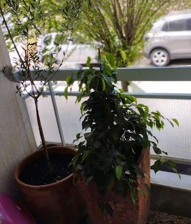 Cozy Apartment In Athens! Exterior photo